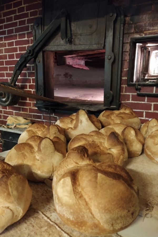 Elaboración de harinas